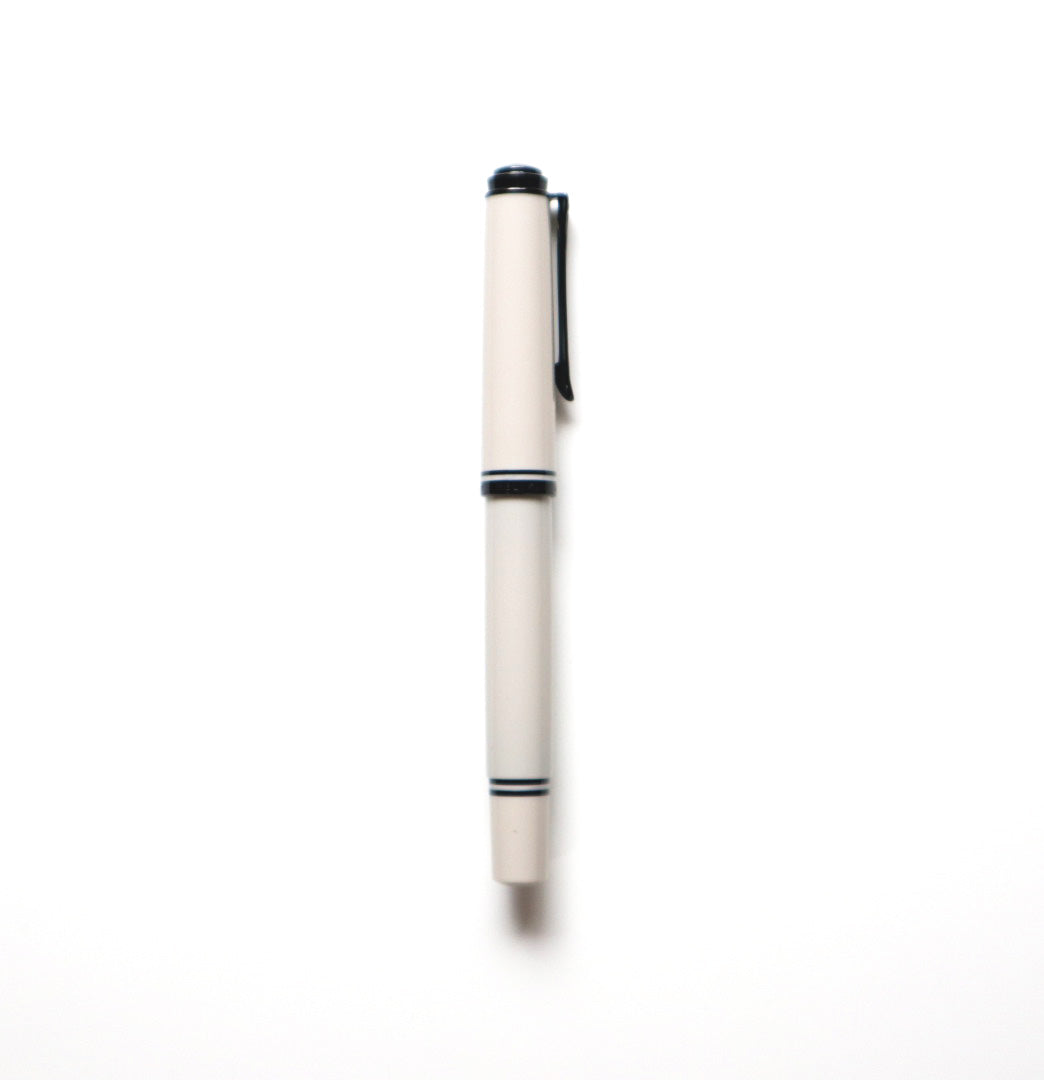 【限定品】Pelikan(ペリカン) 万年筆 スーベレーン670 ウォームグレー 極細字/細字/中字/太字