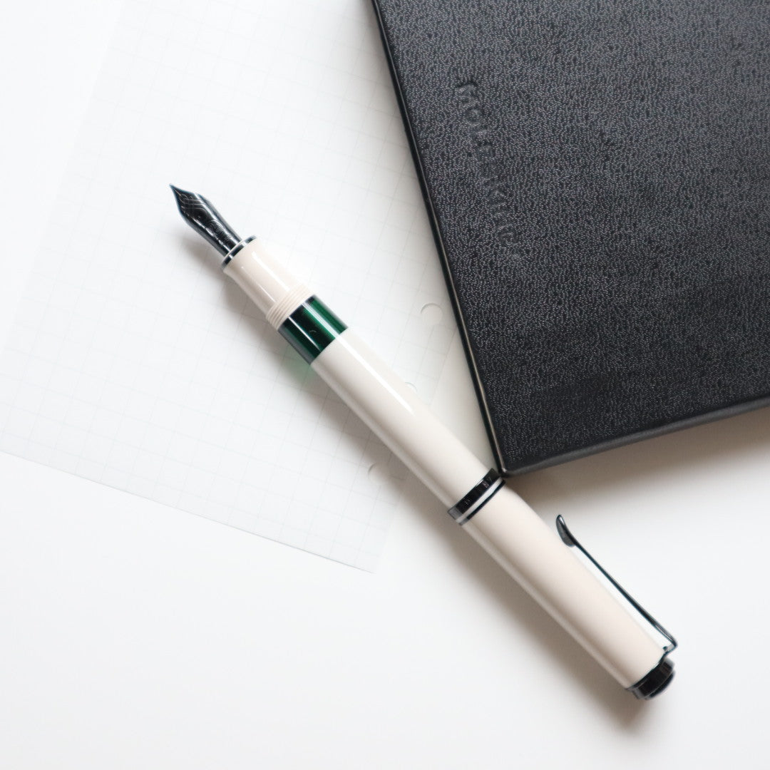 【限定品】Pelikan(ペリカン) 万年筆 スーベレーン670 ウォームグレー 極細字/細字/中字/太字