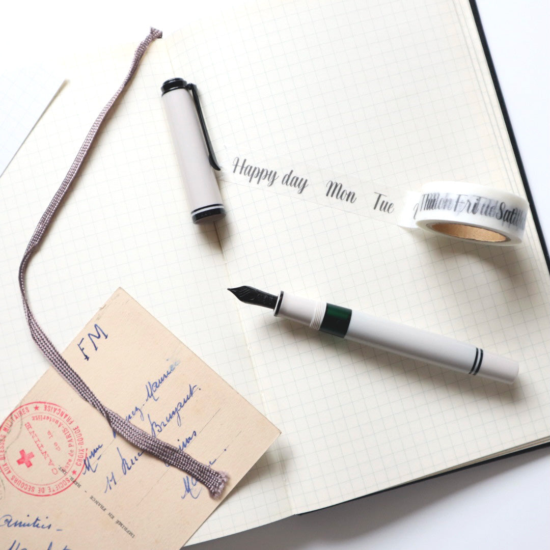 【限定品】Pelikan(ペリカン) 万年筆 スーベレーン670 ウォームグレー 極細字/細字/中字/太字