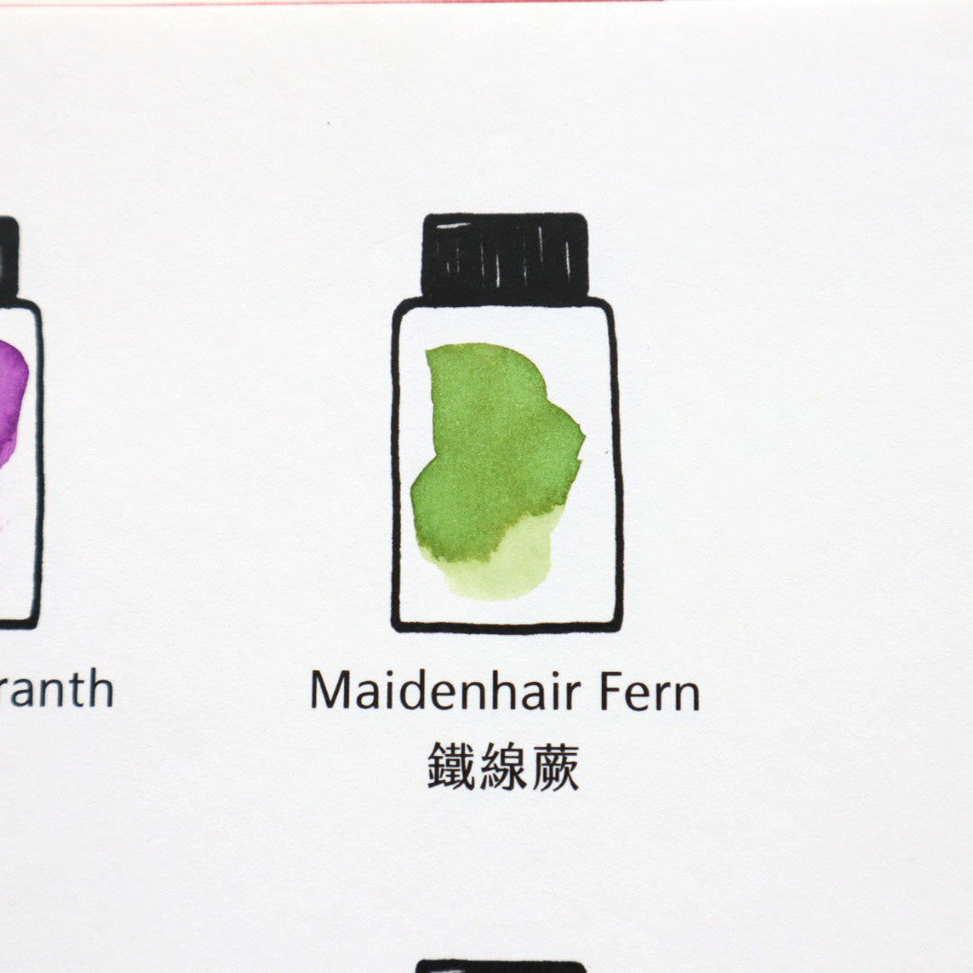 【限定品】藍濃道具屋 インク 30ml 媠甲有春 鐵線蕨 (ティエ・シェン・ルイ)