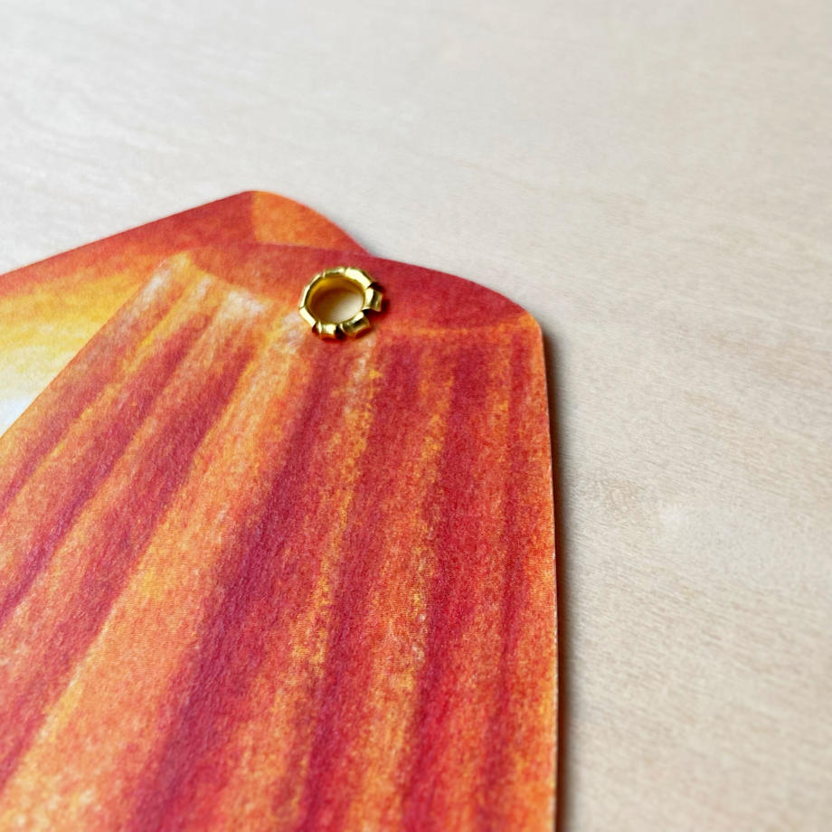 ア・ラ・カル堂 ミニカード マドレーヌシェル