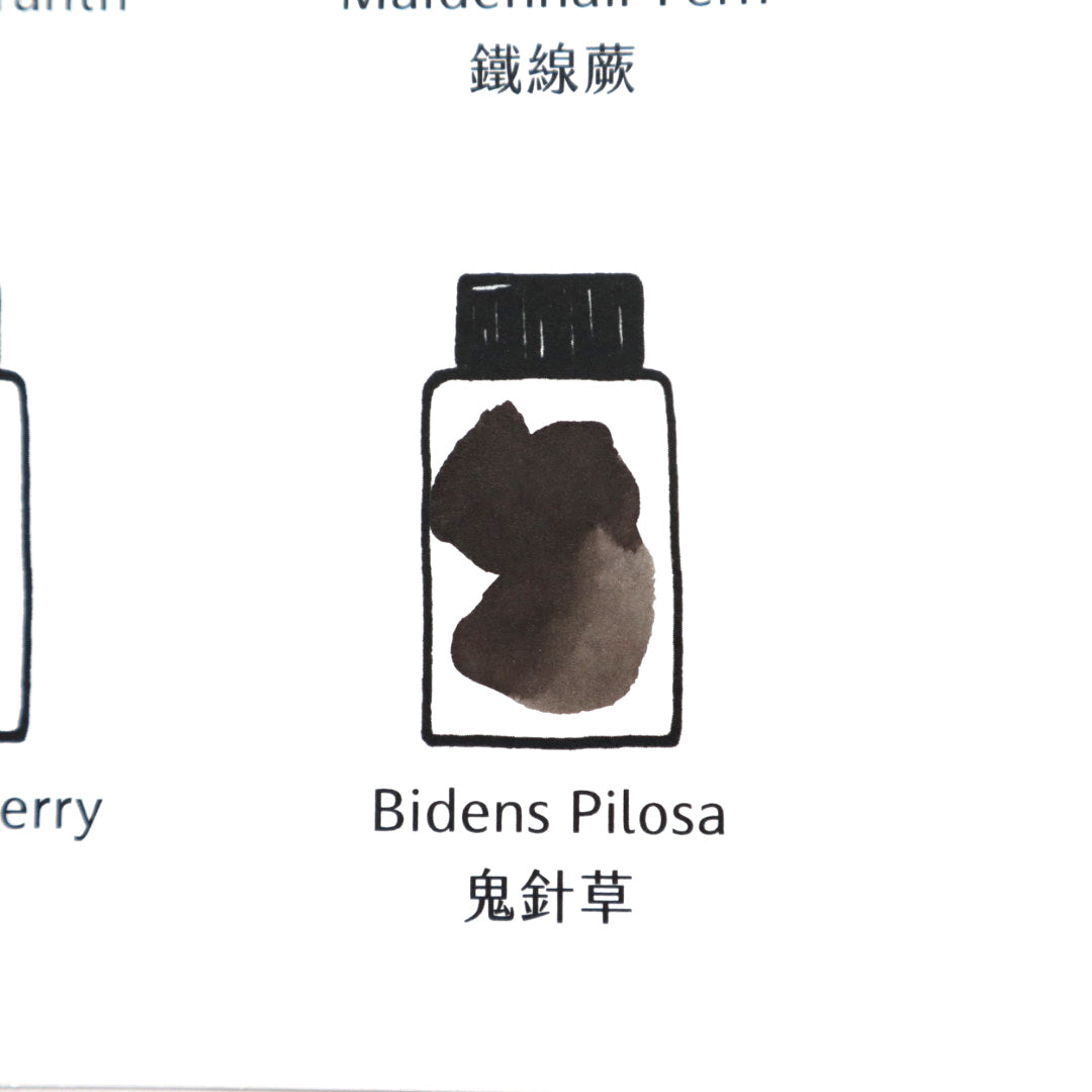 【限定品】藍濃道具屋 インク 30ml 媠甲有春 鬼針草(グイ・ジェン・ツァオ)