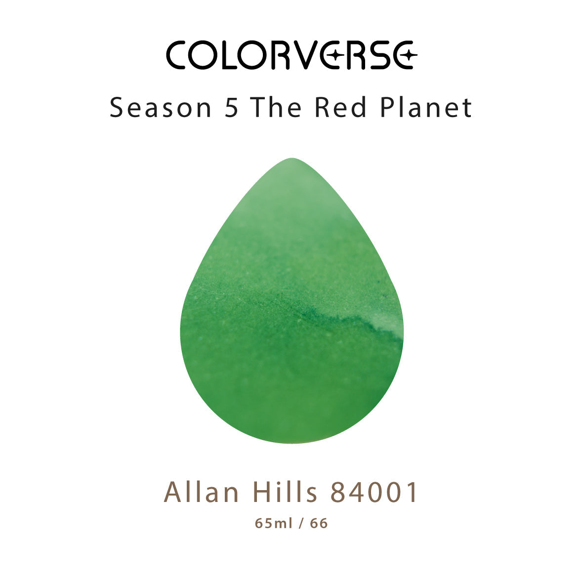 COLOR VERSE(カラーバース) インク5ml No.66 Allan Hills 84001